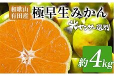 こだわりの極早生みかん 約4kg 農家直送 有機質肥料100% サイズ混合 ｜ みかん 極早生 早生 柑橘 果物 くだもの 果実 フルーツ 和歌山 有田 ※北海道・沖縄・離島への配送不可 ※2025年9月下旬～10月中旬頃に順次発送予定