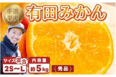 【まごころ手選別】和歌山産 有田みかん 5kg (2S～Lサイズ混合) ※2025年11月上旬～2026年1月下旬頃に順次発送予定