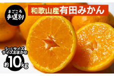 【まごころ手選別】和歌山産 有田みかん 10kg (S～Lサイズ)【サイズおまかせ】 ※2025年11月上旬～2026年1月下旬頃に順次発送予定