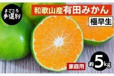 【まごころ手選別】和歌山産 有田みかん(極早生) 5kg 家庭用 ※2025年10月上旬～11月中旬頃に順次発送予定