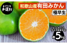 【まごころ手選別】和歌山産 有田みかん(極早生) 5kg (S～Lサイズ)【サイズおまかせ】 ※2025年10月上旬～11月中旬頃に順次発送予定