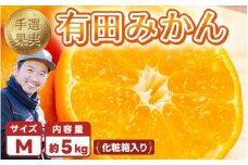 【まごころ手選別】和歌山の有田みかん 化粧箱入り 約5kg Mサイズ ※2025年11月上旬～2026年1月下旬頃に順次発送予定