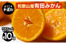 【まごころ手選別】和歌山の有田みかん 10kg 大玉(2L～4Lサイズ混合) ※2025年11月上旬～2026年1月下旬頃に順次発送予定