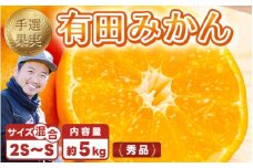 【まごころ手選別】和歌山の有田みかん 5kg (2S・Sサイズ混合) ※2025年11月上旬～2026年1月下旬頃に順次発送予定