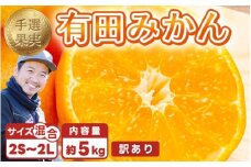 【まごころ手選別】和歌山産 有田みかん 5kg 家庭用 ※2025年11月上旬～2026年1月下旬頃に順次発送予定