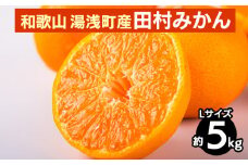 和歌山 湯浅町産 田村みかん 5kg【Lサイズ】 ※2025年11月中旬～2026年1月中旬頃に順次発送予定