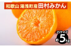 和歌山 湯浅町産 田村みかん 5kg【2Sサイズ】 ※2025年11月中旬～2026年1月中旬頃に順次発送予定