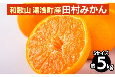 和歌山 湯浅町産 田村みかん 5kg【Sサイズ】 ※2025年11月中旬～2026年1月中旬頃に順次発送予定