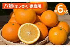 和歌山県産 八朔 6kg 家庭用 ※2026年1月上旬～3月下旬頃に順次発送予定