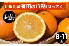 【まごころ手選別】和歌山産有田のはっさく　8～11玉 ※2026年1月上旬～3月下旬頃に順次発送予定