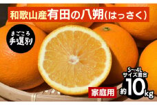 【まごころ手選別】有田の八朔(はっさく)約10kg(S～4Lサイズ混合)家庭用 ※2026年1月上旬～3月下旬頃に順次発送予定