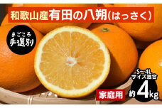 【まごころ手選別】有田の八朔(はっさく)約4kg(S～4Lサイズ混合)家庭用 ※2026年1月上旬～3月下旬頃に順次発送予定