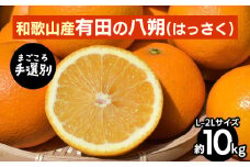 【まごころ手選別】有田のはっさく【八朔】約10kg　L～2Lサイズ ※2026年1月上旬～3月下旬頃に順次発送予定