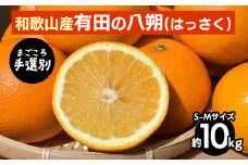 【まごころ手選別】有田のはっさく【八朔】約10kg　S～Mサイズ ※2026年1月上旬～3月下旬頃に順次発送予定