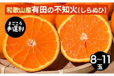 【まごころ手選別】和歌山産　有田の不知火(しらぬひ)8～11玉 ※2026年2月上旬～4月下旬頃に順次発送予定