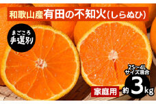 【まごころ手選別】和歌山産　有田の不知火(しらぬひ)約3kg(2S～4Lサイズ混合)【家庭用】 ※2026年2月上旬～4月下旬頃に順次発送予定