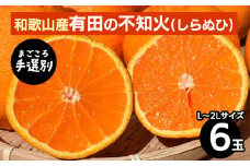 【まごころ手選別】和歌山産　有田の不知火(しらぬひ)(6玉×1箱、L～2Lサイズ) ※2026年2月上旬～4月下旬頃に順次発送予定