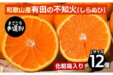 【まごころ手選別】和歌山産　有田の不知火(しらぬひ) 化粧箱(フルーツキャップ付き)Lサイズ12個入り ※2026年2月上旬～4月下旬頃に順次発送予定