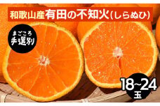 【まごころ手選別】和歌山産　有田の不知火(しらぬひ)18玉～24玉 ※2026年2月上旬～4月下旬頃に順次発送予定