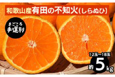 【まごころ手選別】和歌山産　有田の不知火(しらぬひ)5kg(12玉～18玉) ※2026年2月上旬～4月下旬頃に順次発送予定