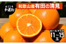 【まごころ手選別】和歌山産　有田の清見　11玉～15玉(M～3Lサイズ) ※2026年3月上旬～4月下旬頃に順次発送予定