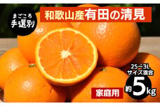 【まごころ手選別】和歌山産　有田の清見　約5kg(2S～3Lサイズ混合)【家庭用】 ※2026年3月上旬～4月下旬頃に順次発送予定