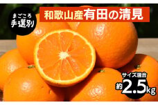 【まごころ手選別】和歌山産　有田の清見　約2.5kg(サイズ混合) ※2026年3月上旬～4月下旬頃に順次発送予定