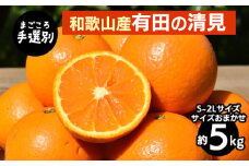 【まごころ手選別】和歌山産　有田の清見　5kg(S～2Lサイズ)サイズおまかせ ※2026年3月上旬～4月下旬頃に順次発送予定