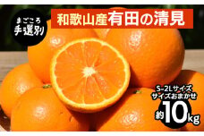 【まごころ手選別】和歌山産　有田の清見　10kg(S～2Lサイズ)サイズおまかせ ※2026年3月上旬～4月下旬頃に順次発送予定