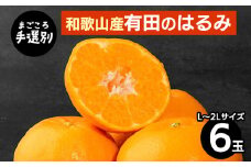 【まごころ手選別】和歌山産　有田のはるみ(L～2Lサイズ) 6玉 1箱 ※2026年1月中旬～2月下旬頃に順次発送予定