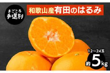 【まごころ手選別】和歌山産　有田のはるみ　約5kg　12玉～24玉 ※2026年1月中旬～2月下旬頃に順次発送予定
