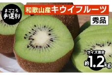 【まごころ手選別】和歌山産　キウイフルーツ　約1.2kg(サイズ混合)　秀品 ※2026年1月下旬～3月中旬頃に順次発送予定