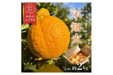 先行受付　不知火　希少な樹上完熟!　秀品大玉　6個入 ※2026年2月下旬～3月下旬頃に順次発送予定