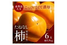 先行受付　柿(種無し)　赤秀品大玉　6個入　約1.8kg ※2025年9月下旬～10月下旬頃に順次発送予定 ※離島への配送不可