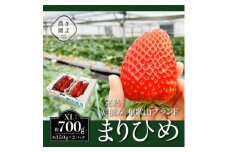 先行受付　大粒まりひめイチゴ　朝摘　6個～11個入×2パック ※2026年1月中旬～3月下旬頃に順次発送予定 ※離島への配送不可