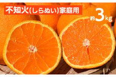 和歌山産　不知火 約3kg【家庭用】 ※2026年2月上旬～4月下旬頃より順次発送予定