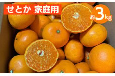 せとか　約3kg　家庭用 ※2026年2月下旬～4月中旬頃より順次発送予定