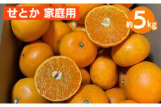 せとか　約5kg　家庭用 ※2026年2月下旬～4月中旬頃より順次発送予定