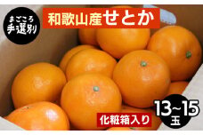 【まごころ手選別】和歌山産　せとか　化粧箱入り　(13～15玉) ※2026年2月下旬～4月中旬頃より順次発送予定
