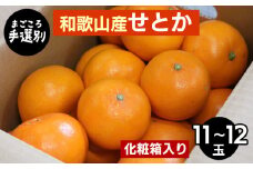 【まごころ手選別】和歌山産　せとか　化粧箱入り　(11～12玉) ※2026年2月下旬～4月中旬頃より順次発送予定