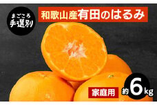 【まごころ手選別】和歌山産有田のはるみ　約6kg(家庭用) ※2026年1月下旬～2月下旬頃より順次発送予定