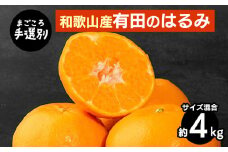 【まごころ手選別】和歌山産有田のはるみ　約4kg(サイズ混合) ※2026年1月下旬～2月下旬頃より順次発送予定