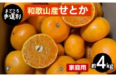 【まごころ手選別】和歌山産　せとか　約4kg 家庭用 ※2026年2月下旬～4月中旬頃より順次発送予定