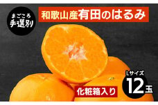 【まごころ手選別】和歌山産有田のはるみ　化粧箱入り　Lサイズ　12個入り ※2026年1月下旬～2月下旬頃より順次発送予定