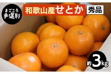 【まごころ手選別】和歌山産　せとか　約3kg　秀品 ※2026年2月下旬～4月中旬頃より順次発送予定
