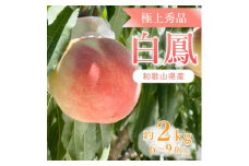 先行受付!　桃の王様【白鳳】　特秀品　約2kg　6～9個入 ※2025年6月下旬～7月下旬頃より順次発送予定 ※離島への配送不可