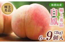 先行受付!　桃の王様【白鳳】　特秀品　約2kg　6～9個入 