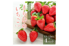 先行受付　まりひめイチゴ L～2L 12粒～15粒×4パック ※2026年1月中旬～3月下旬頃より順次発送予定 ※離島への配送不可