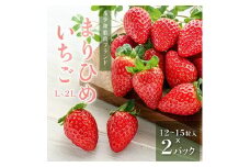 先行受付　まりひめイチゴ L～2L 12粒～15粒×2パック ※2026年1月中旬～3月下旬頃より順次発送予定 ※離島への配送不可