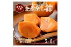 先行受付!　柿　種無し　赤秀品　大玉　5～6個　約2kg ※2025年9月下旬～10月下旬頃より順次発送予定 ※離島への配送不可